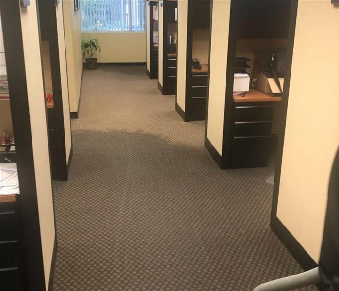 Office space with wet carpet from water damage
