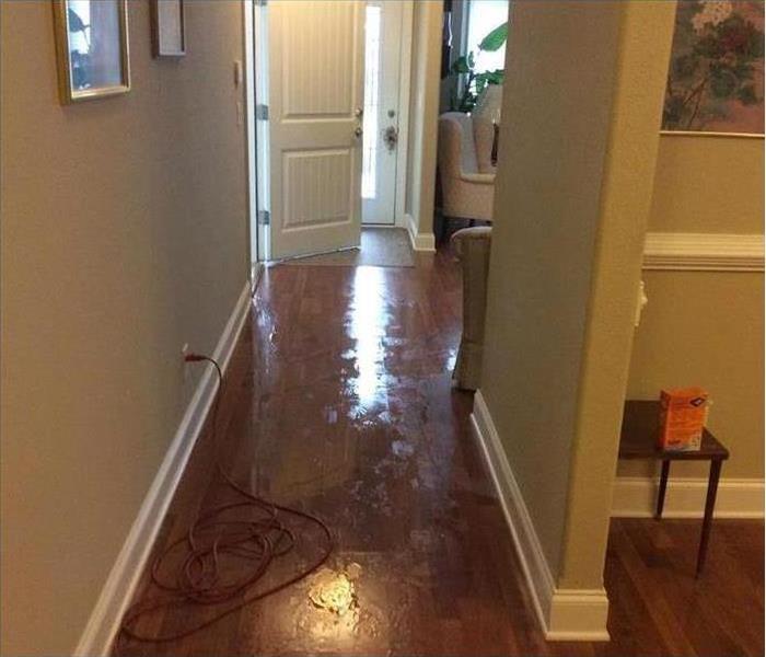 hallway, wet wooden floor, hallway leads to living room